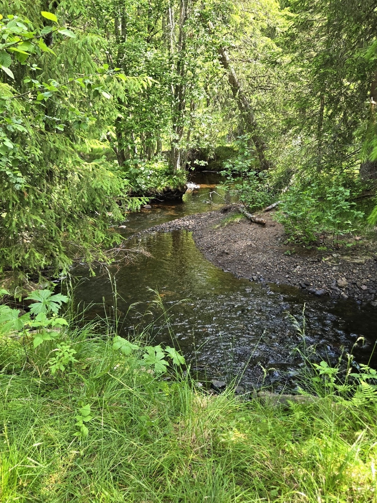 Områdebilde Galleribilde