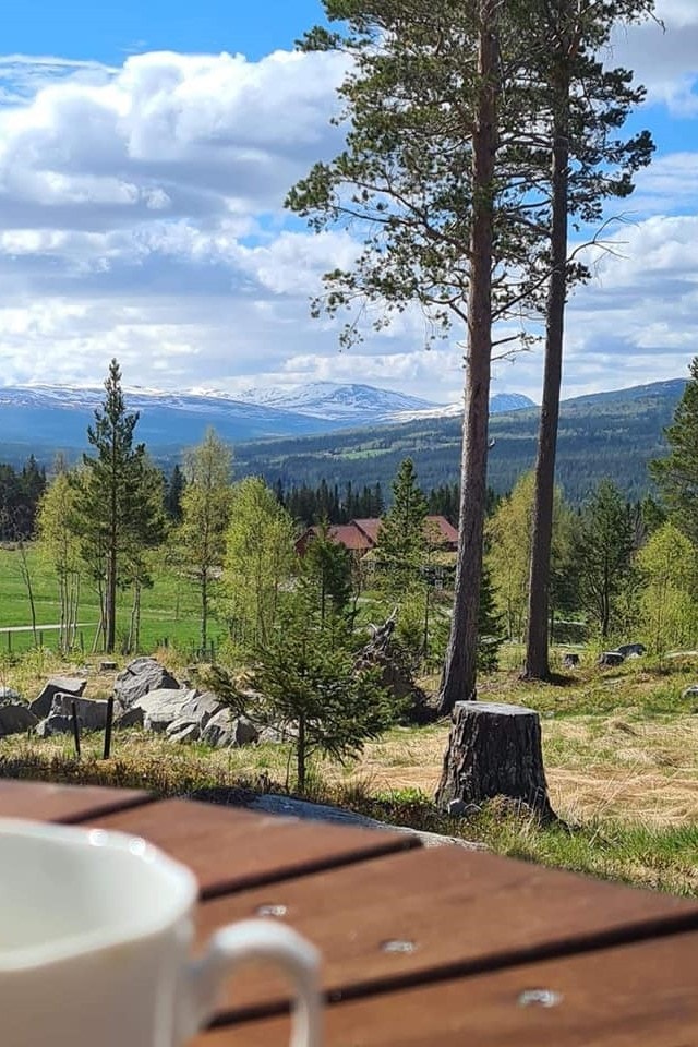 Områdebilde Galleribilde