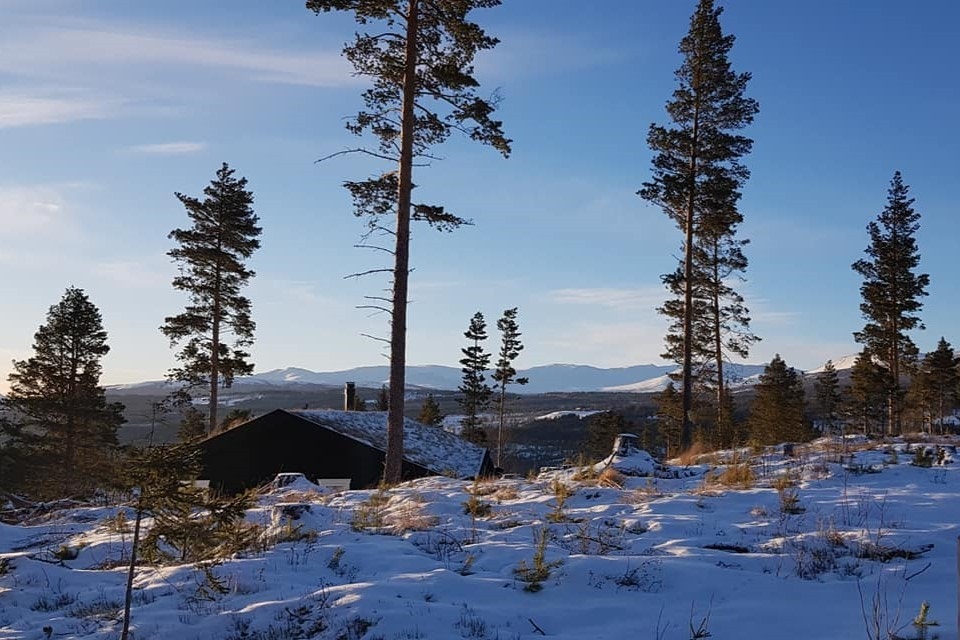 Områdebilde Galleribilde