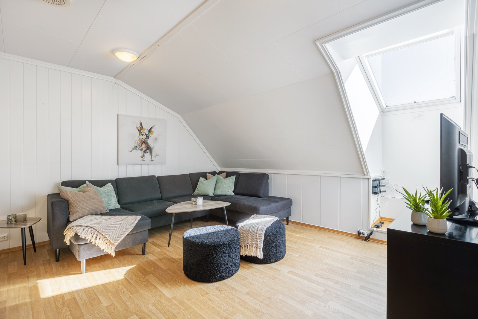 Lys og hyggelig stue. Galleribilde