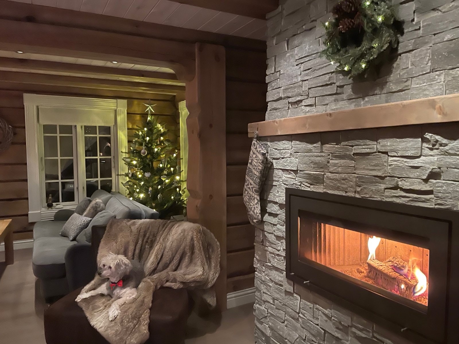 Bilde fra selger Galleribilde