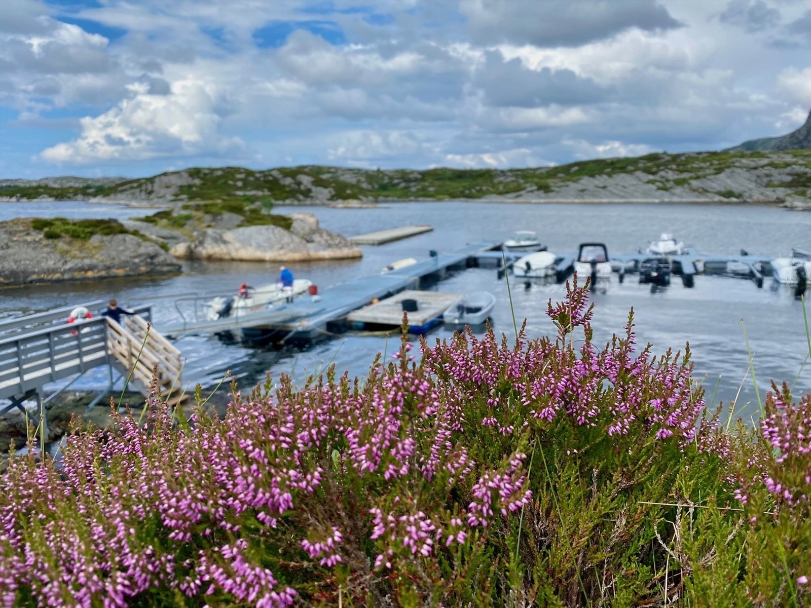 2 øyer og en bølgebryter gir en rolig båtplass Galleribilde