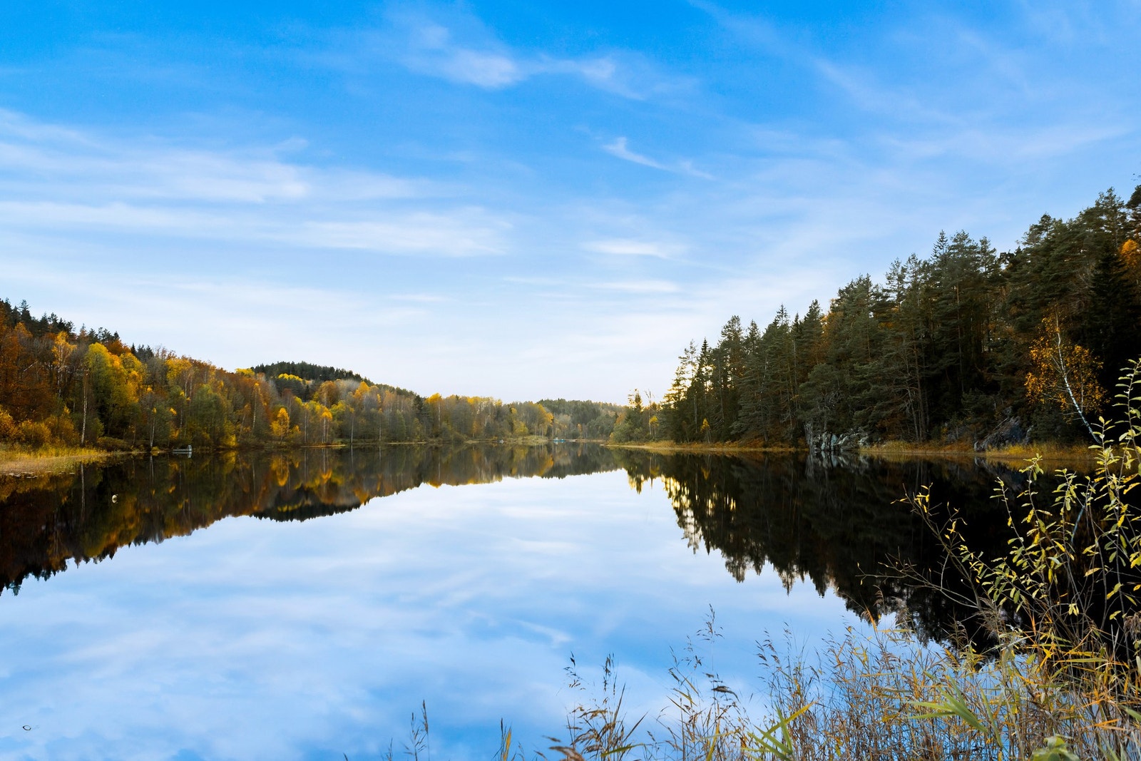 Det er også tilgang på brygge nede ved Litjern. Galleribilde