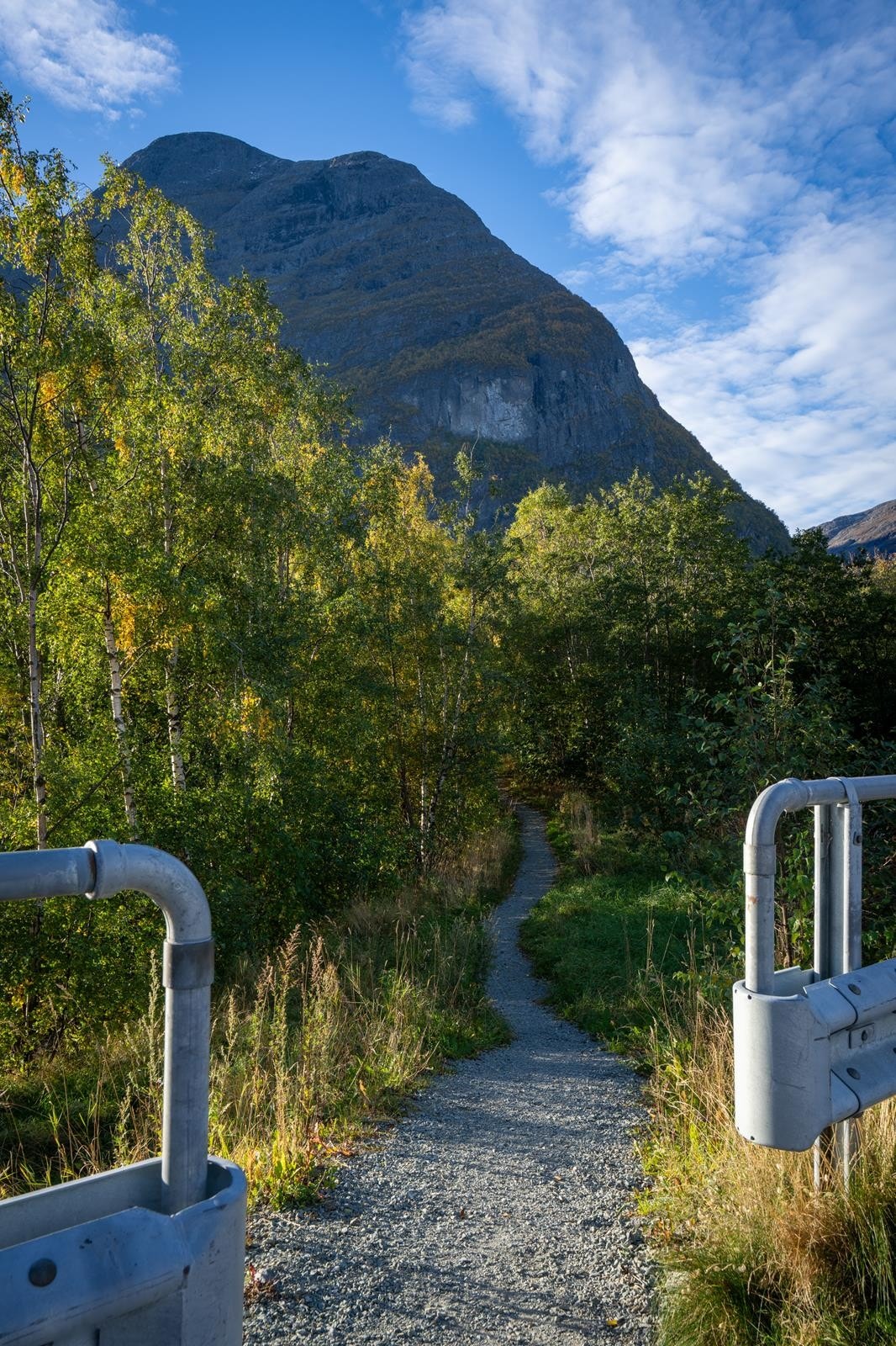 Gård 4 Galleribilde