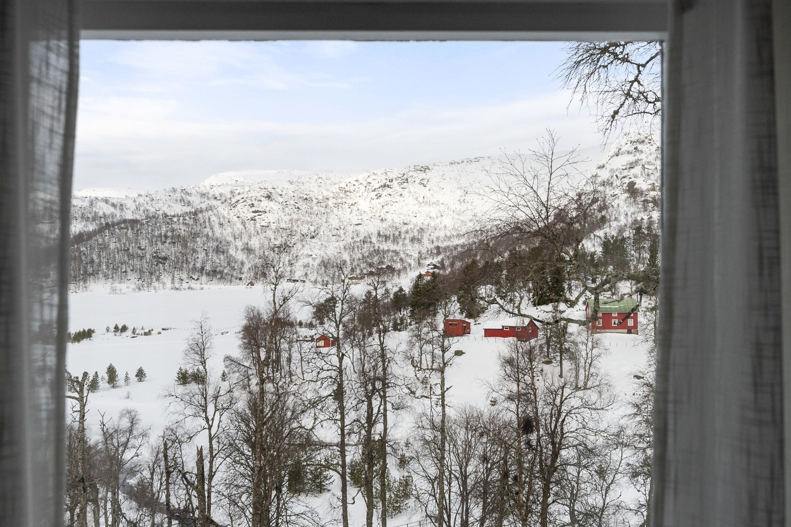 _DSC9651 Galleribilde