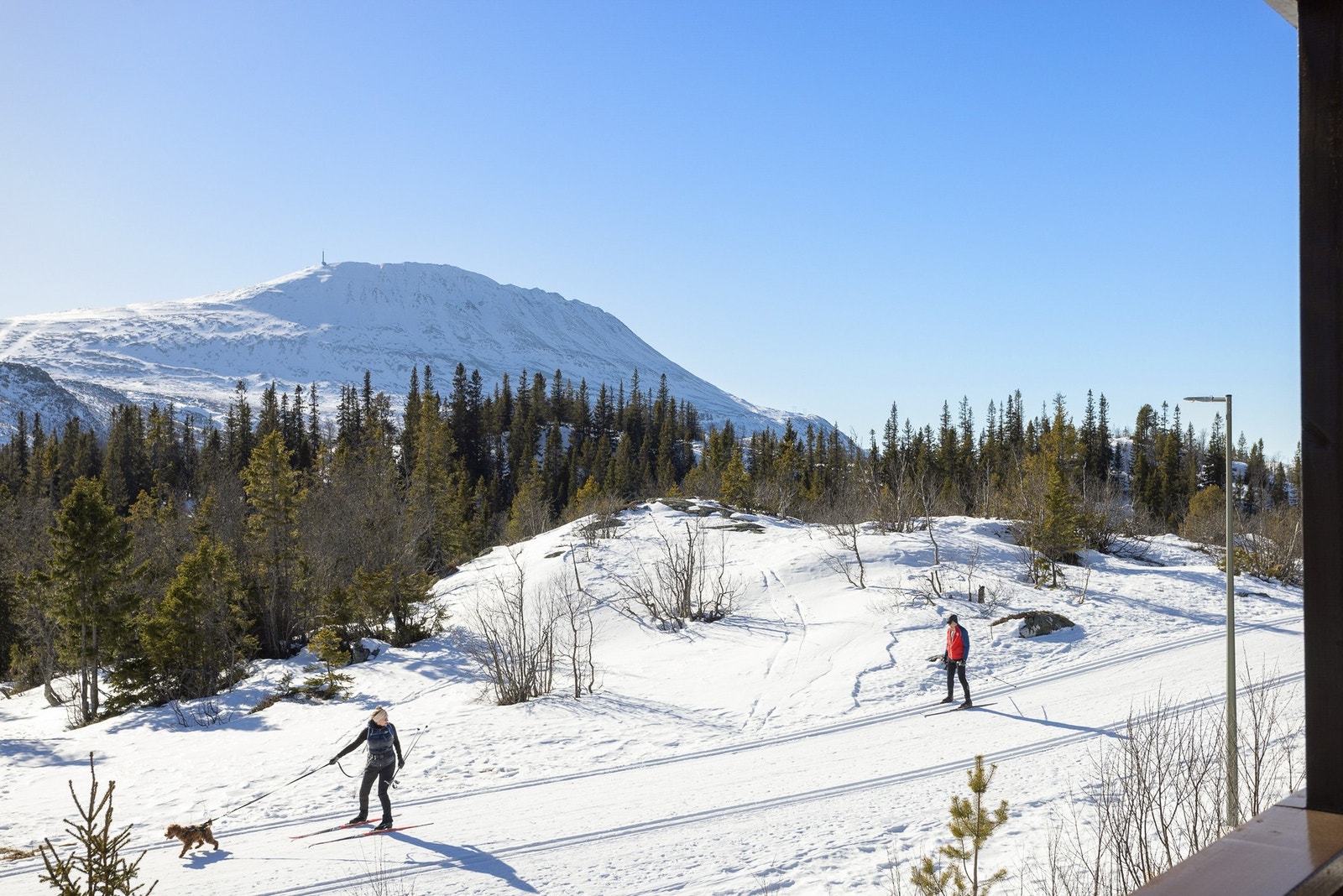 Langrennsløypene er rett utenfor døren. Galleribilde