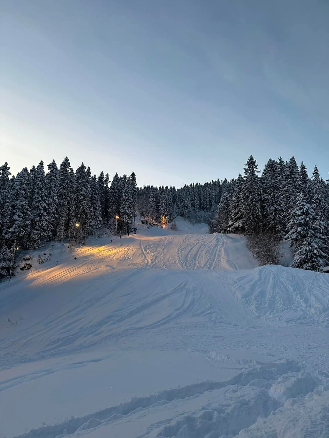 Selgers egne bilder. Galleribilde