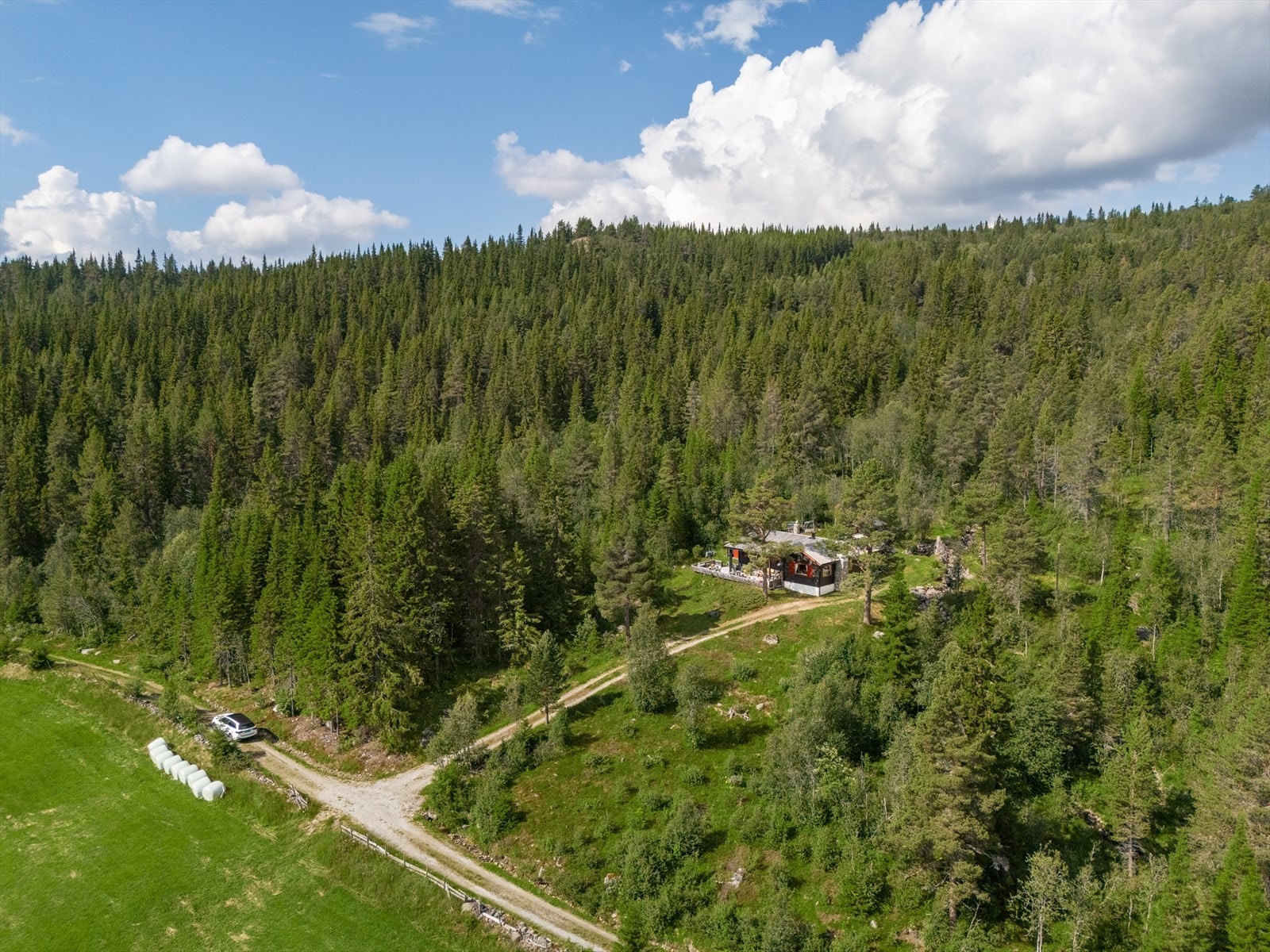 Usjenert beliggenhet med skogen som nærmeste nabo. Galleribilde