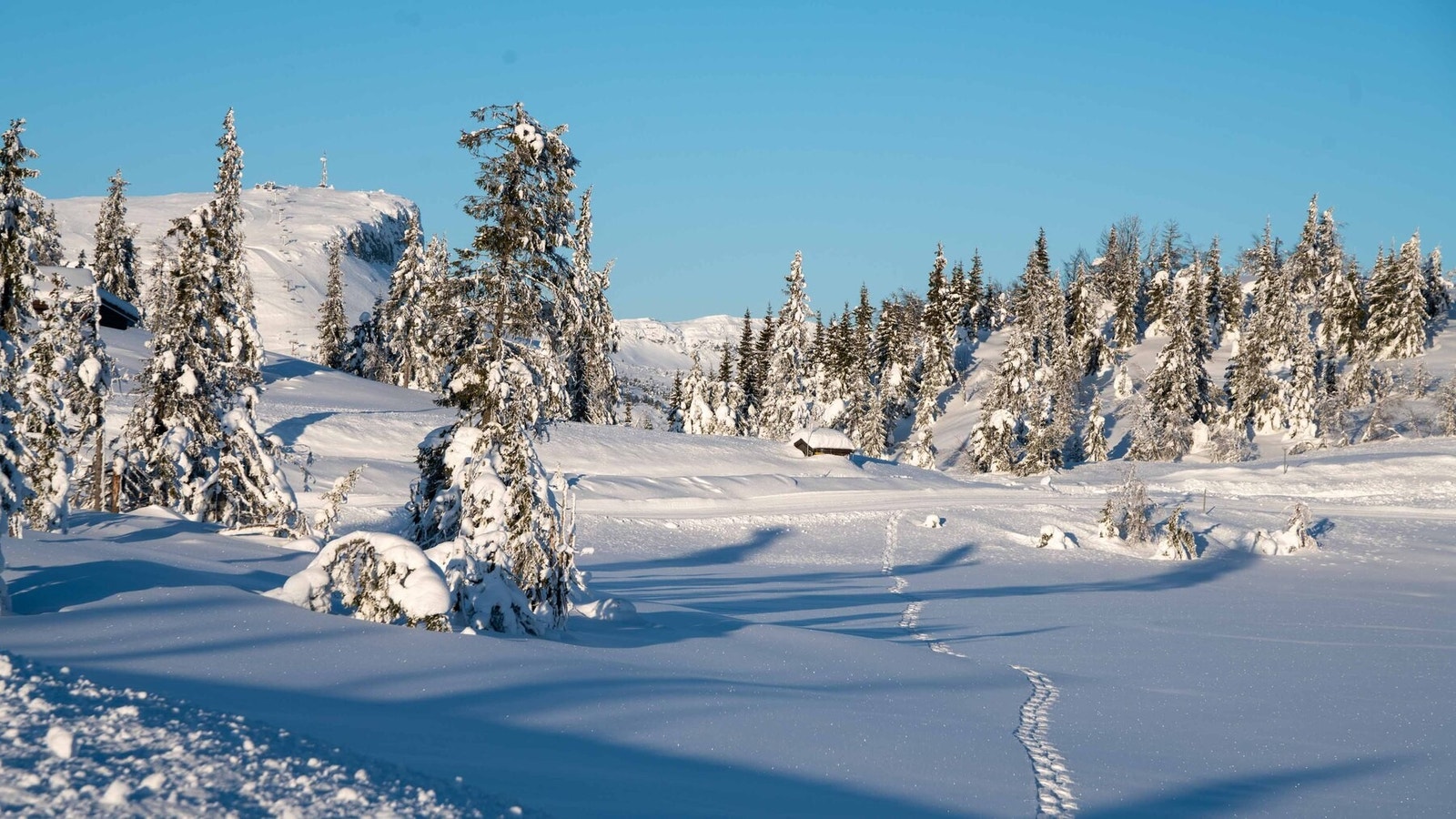 fra tomteområdet Galleribilde