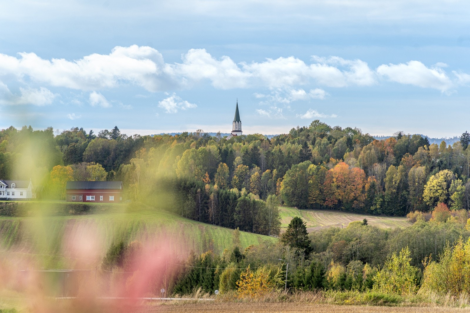 Våle Kirke's spir ser du i det fjerne Galleribilde