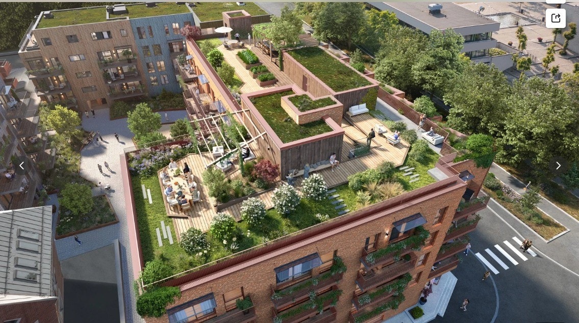 takterrasse Galleribilde