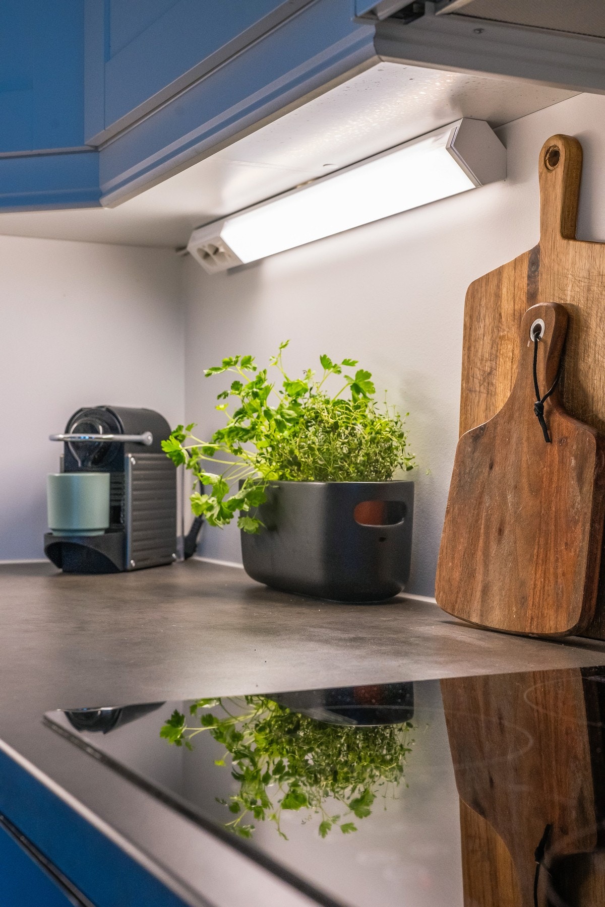 For øvrig kort vei til dagligvareforretninger når både krydder og urter skal fylles opp igjen. Galleribilde