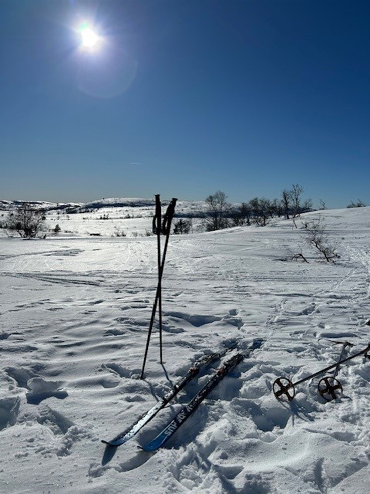 Vinter på Eikerapen Galleribilde