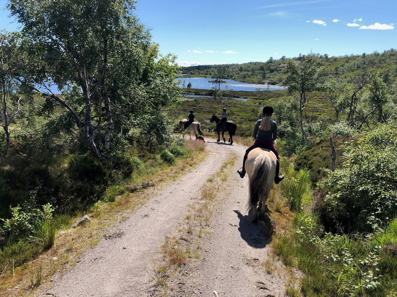 Aktiviteter på Eikerapen, både sommer og vinter. Galleribilde