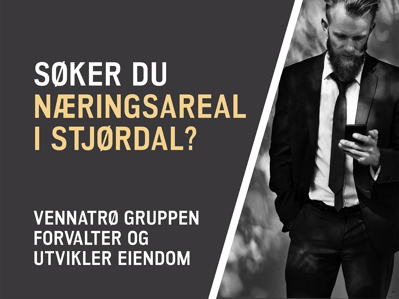 Næringsarealer i Stjørdal Galleribilde