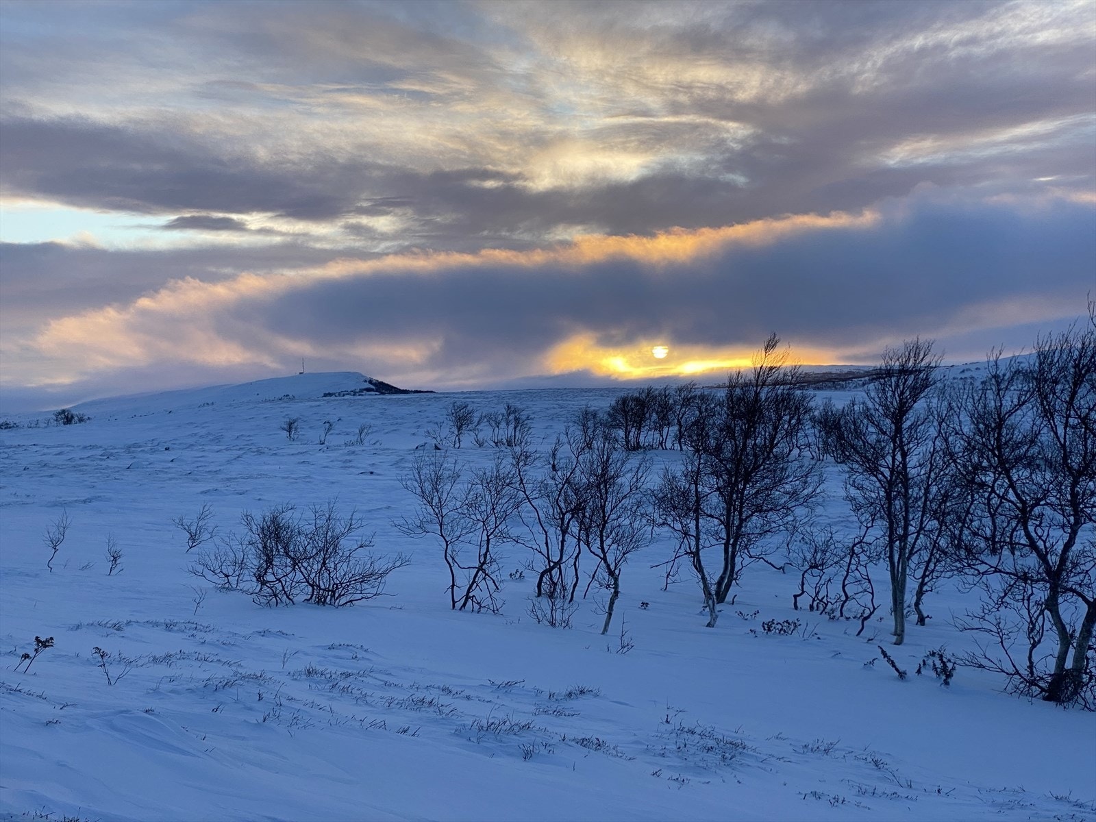Bilde fra det flotte turområdet i nærområdet. Galleribilde