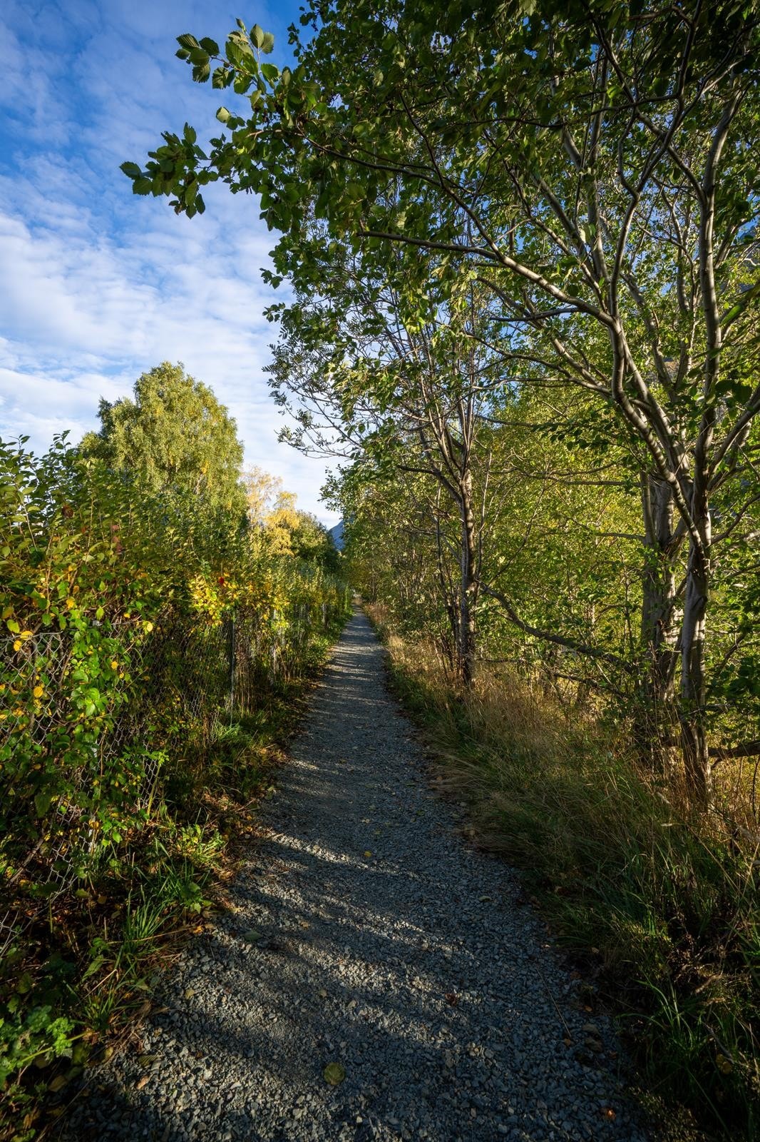 Gård 5 Galleribilde