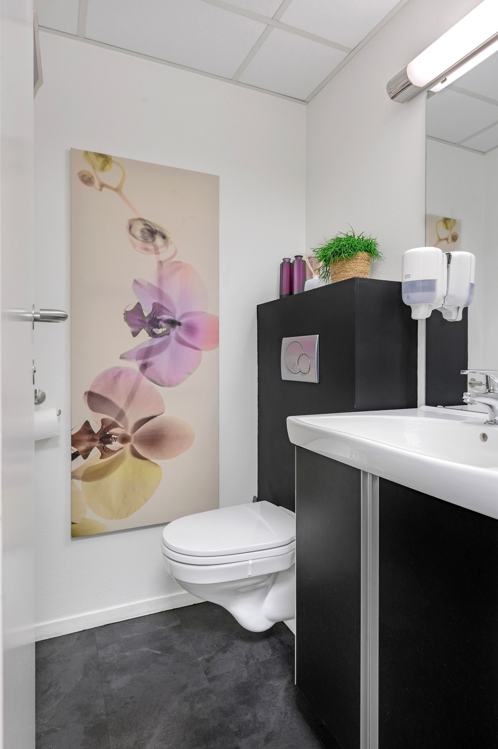 Toalett Galleribilde