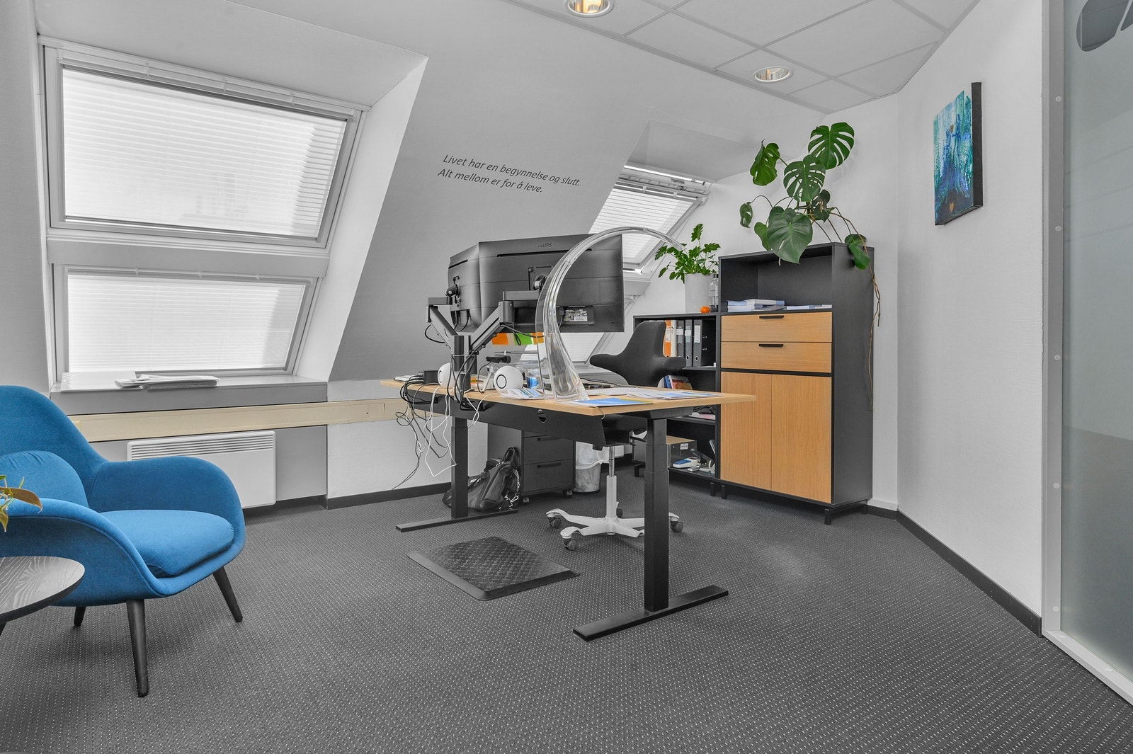 Mye vindusflater og dagslys Galleribilde