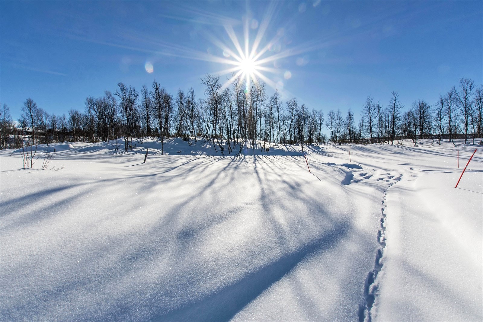 Velkommen skal du være! Galleribilde