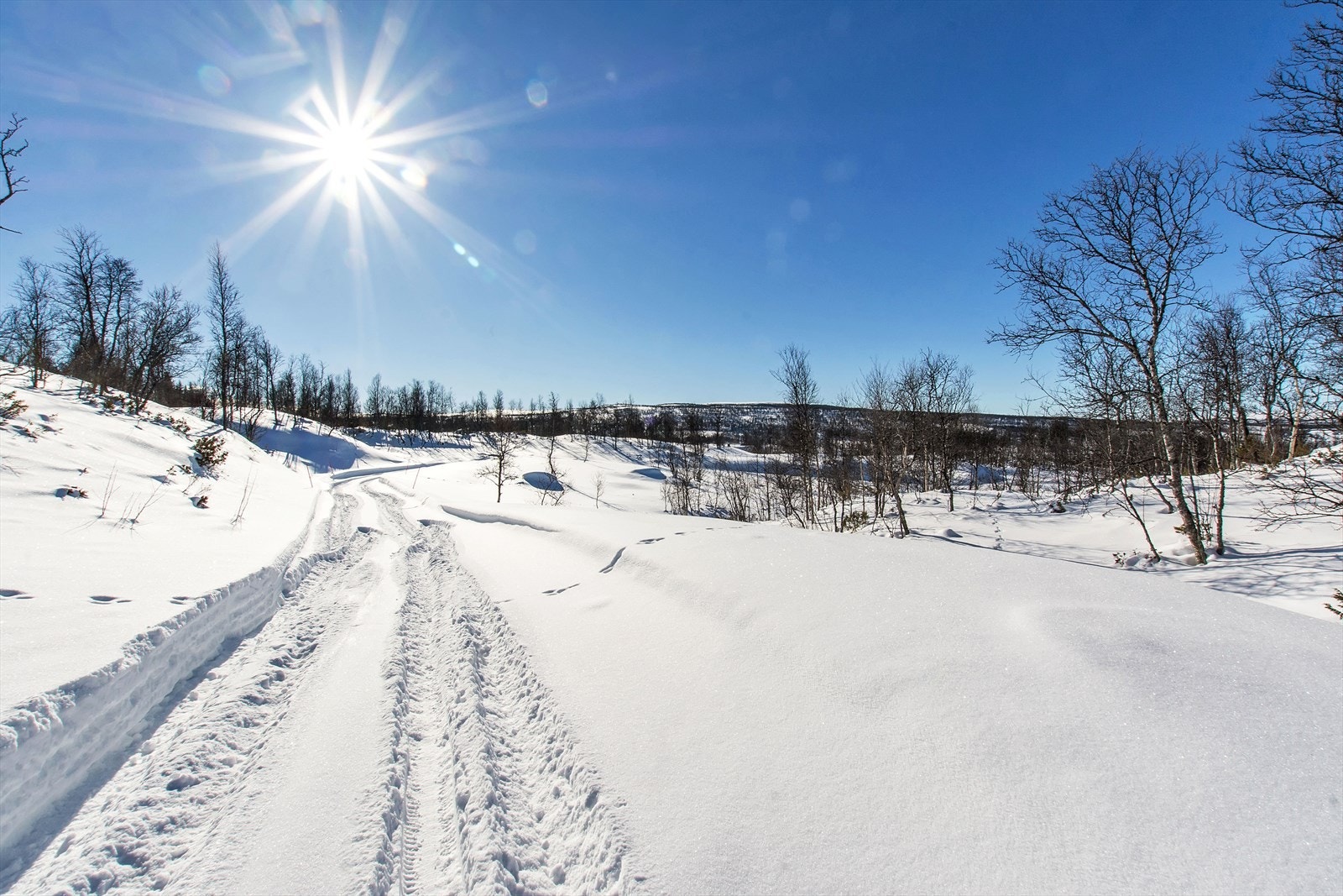 I feltet kan det settes opp hytter med BYA inntil 200 kvm. Galleribilde