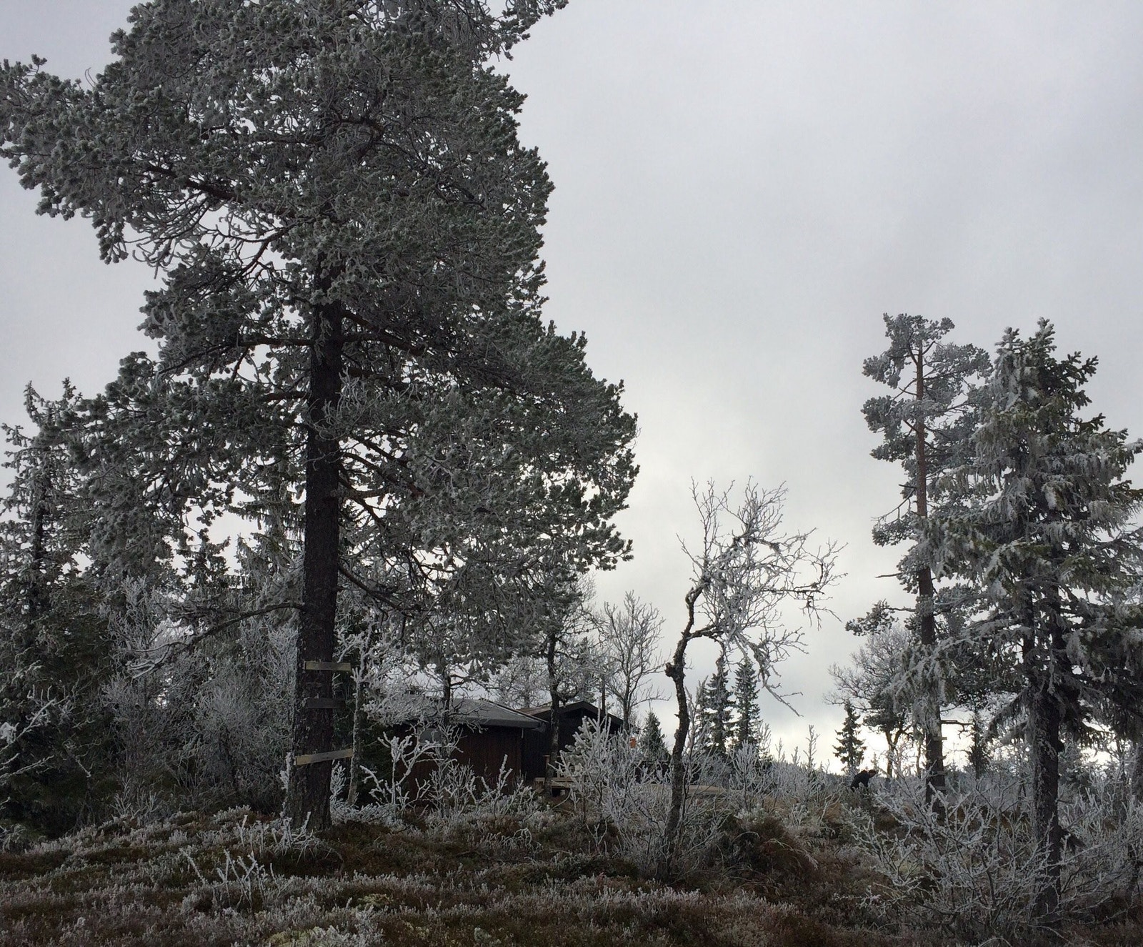 Vakker vinterstemning, hytte kan brukes hele året Galleribilde