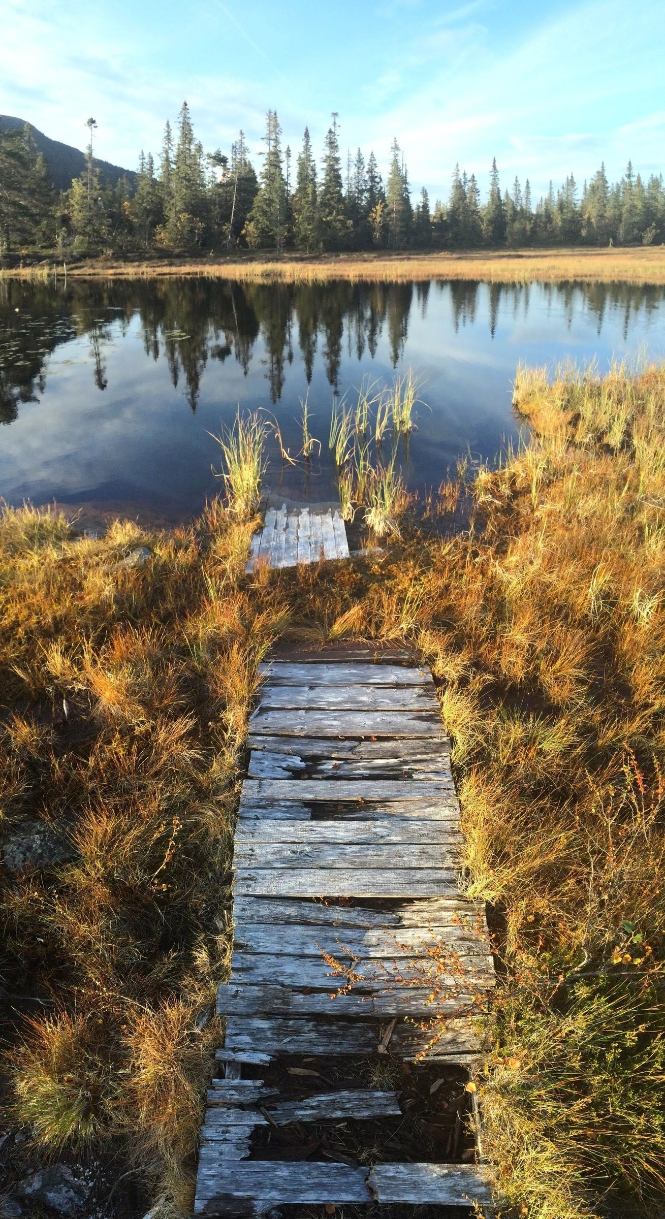 Lite tjern bak hytta Galleribilde