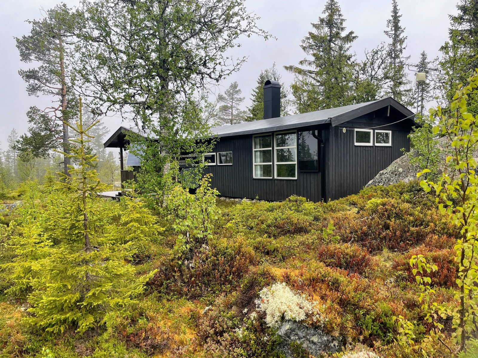 Koselig og tradisjonell hytte omgitt av fjellskog og fjellluft Galleribilde