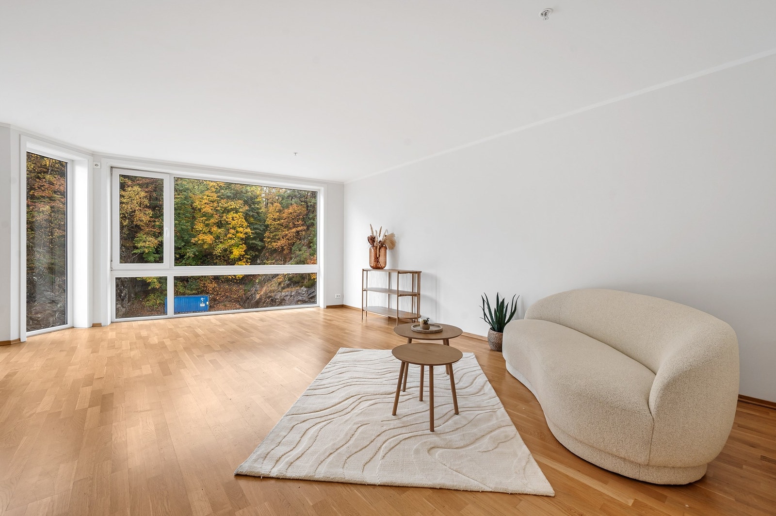 Koselig stue med nymalte overflater Galleribilde
