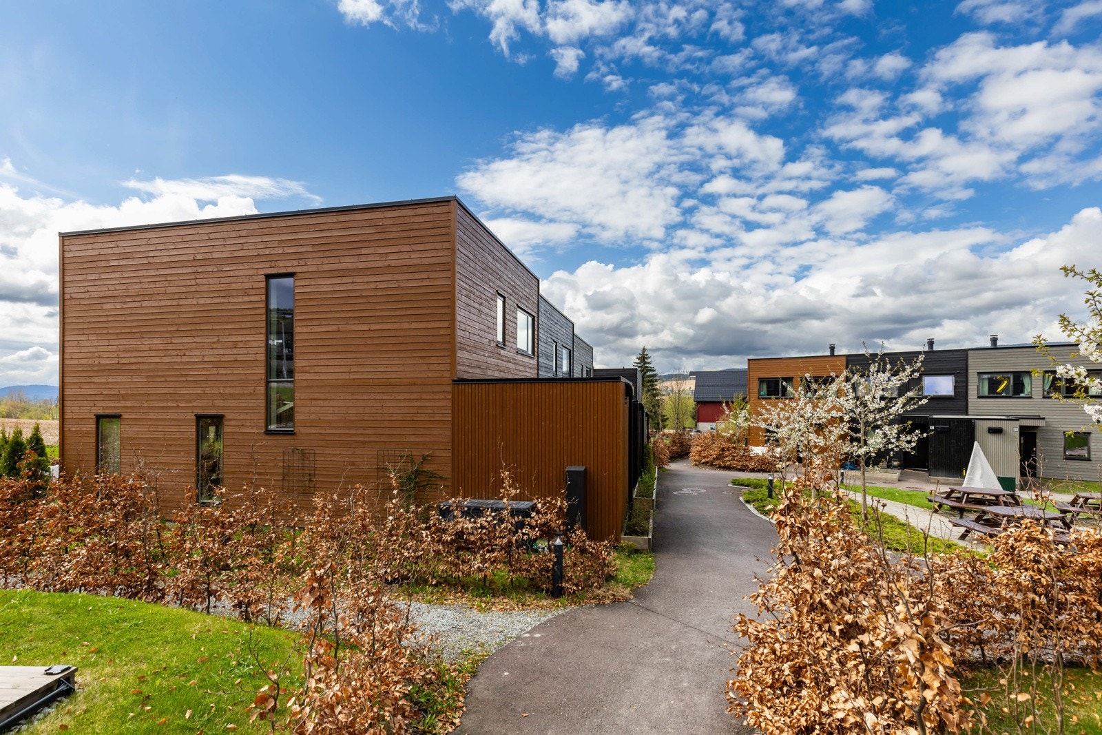 Moderne rekkehus med minimalistisk design, omkranset av grønne busker og en asfaltert gangvei Galleribilde