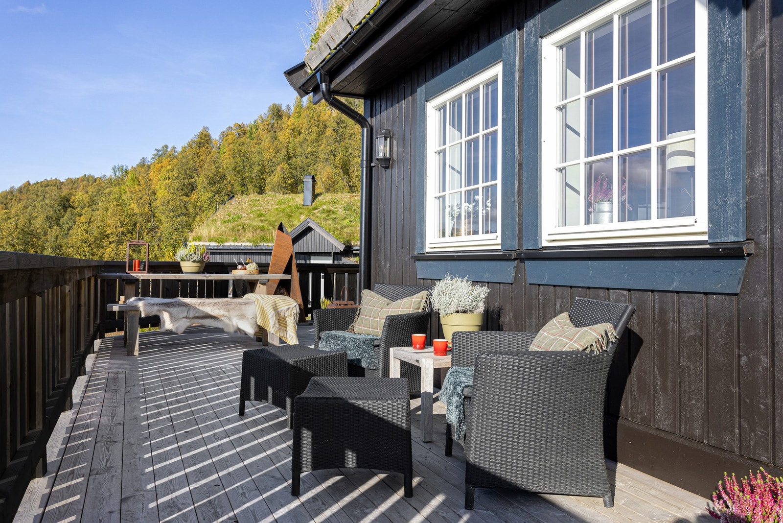 Hytta ligger på toppen av Holtardalen, inn mot enden av en blindvei slik at man slipper gjennomkjøringstrafikk Galleribilde