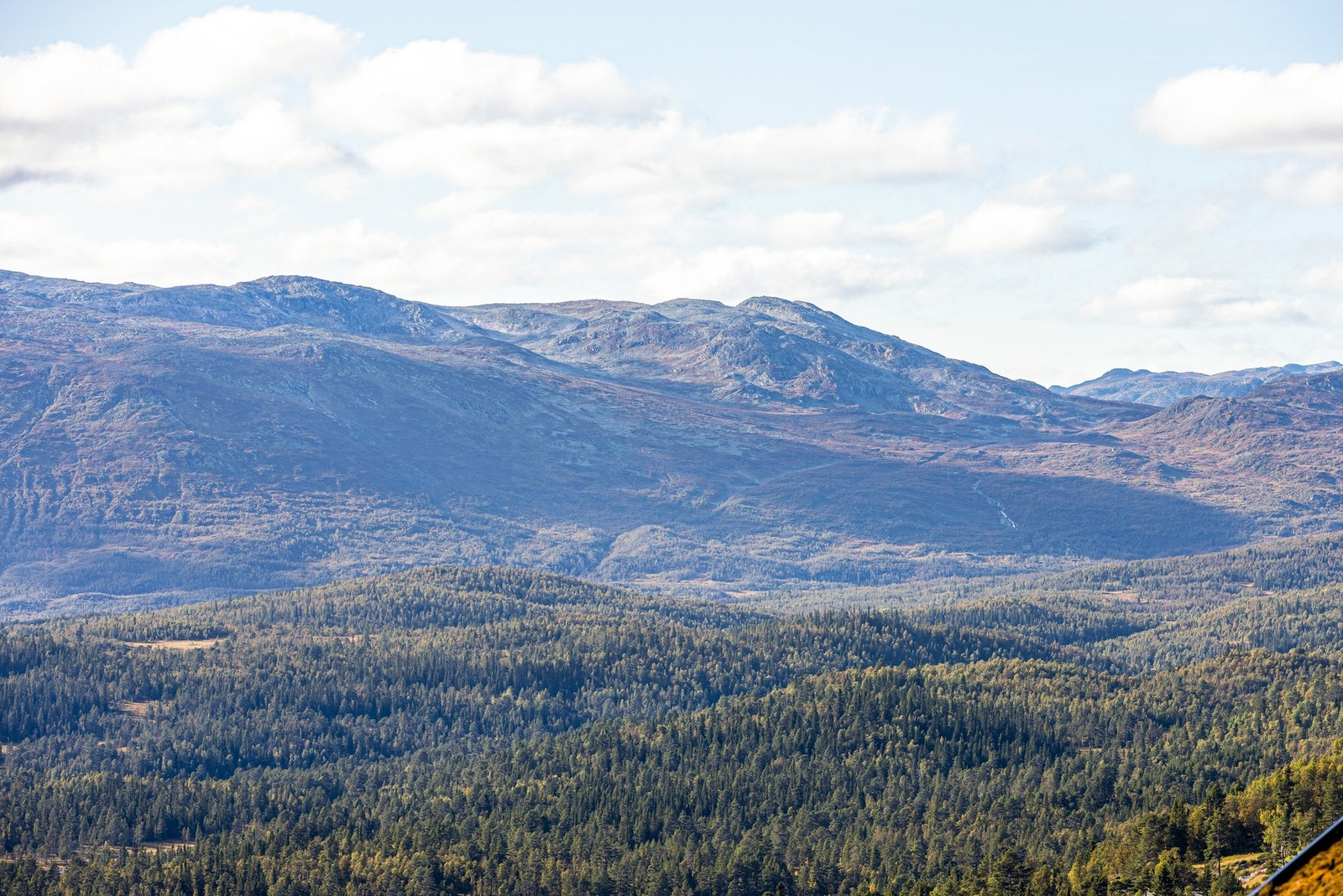 Nydelig utsikt Galleribilde