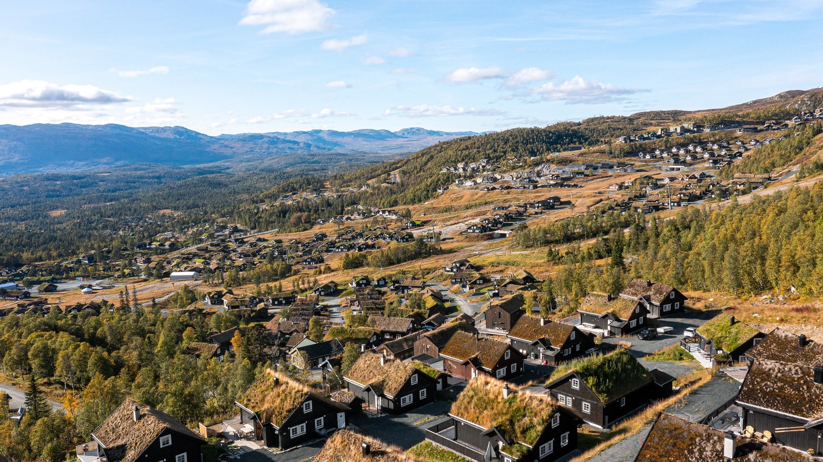 Velkommen til visning! Galleribilde