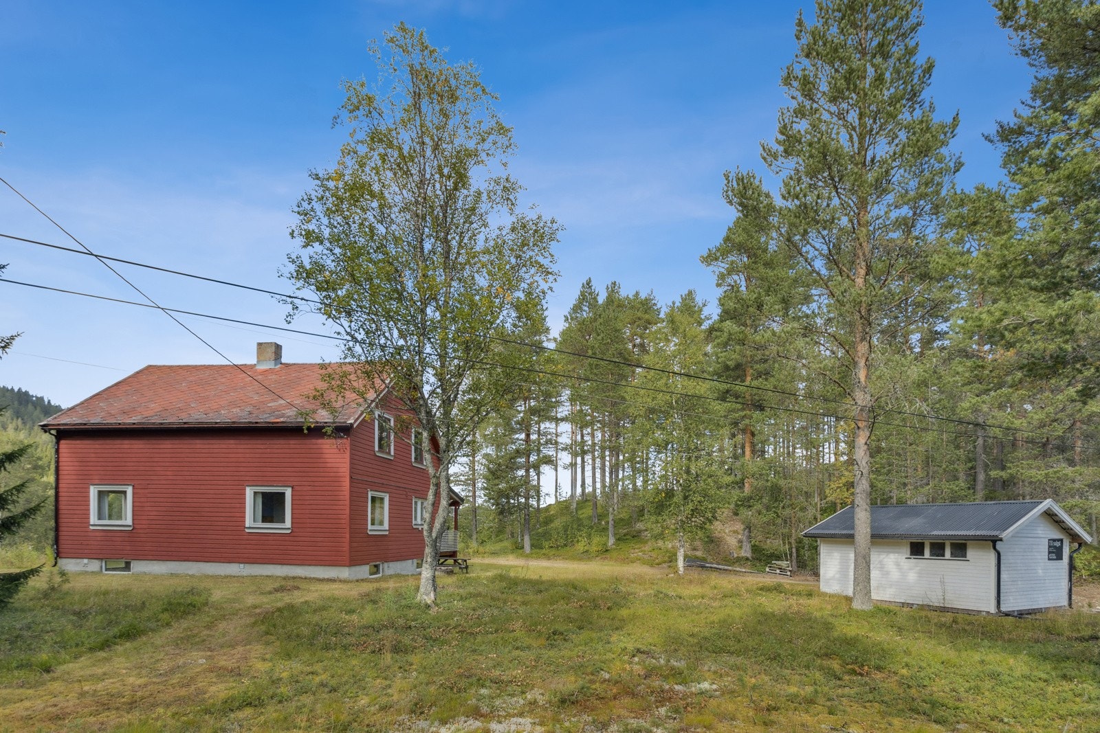 Den store tomten har naturlig hagedel ved bolig og garasje og en stor naturtomt med både blåbær/tyttebærlyng og store furutrær Galleribilde