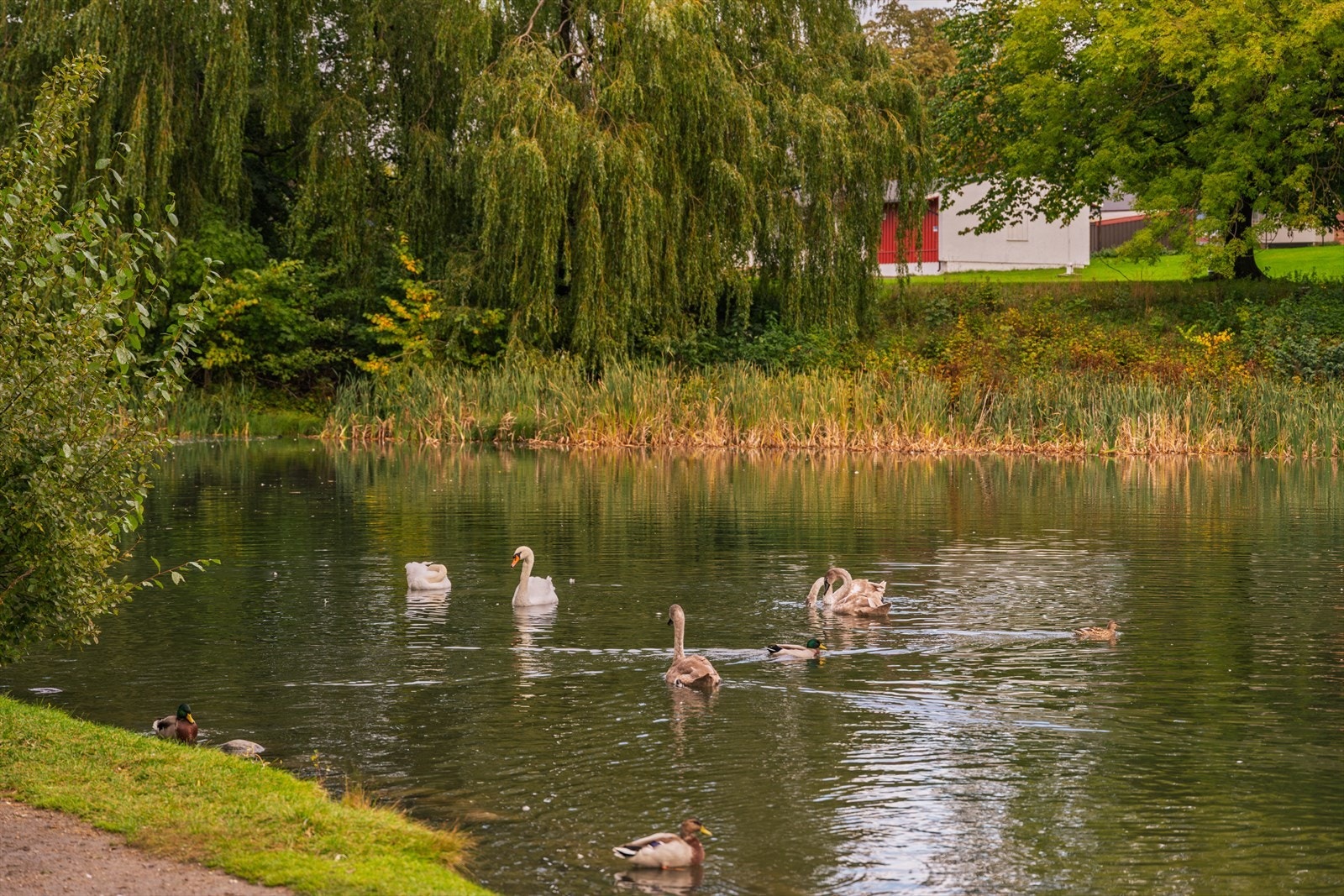 Her kan man nyte rolige stunder ved vannkanten. Galleribilde