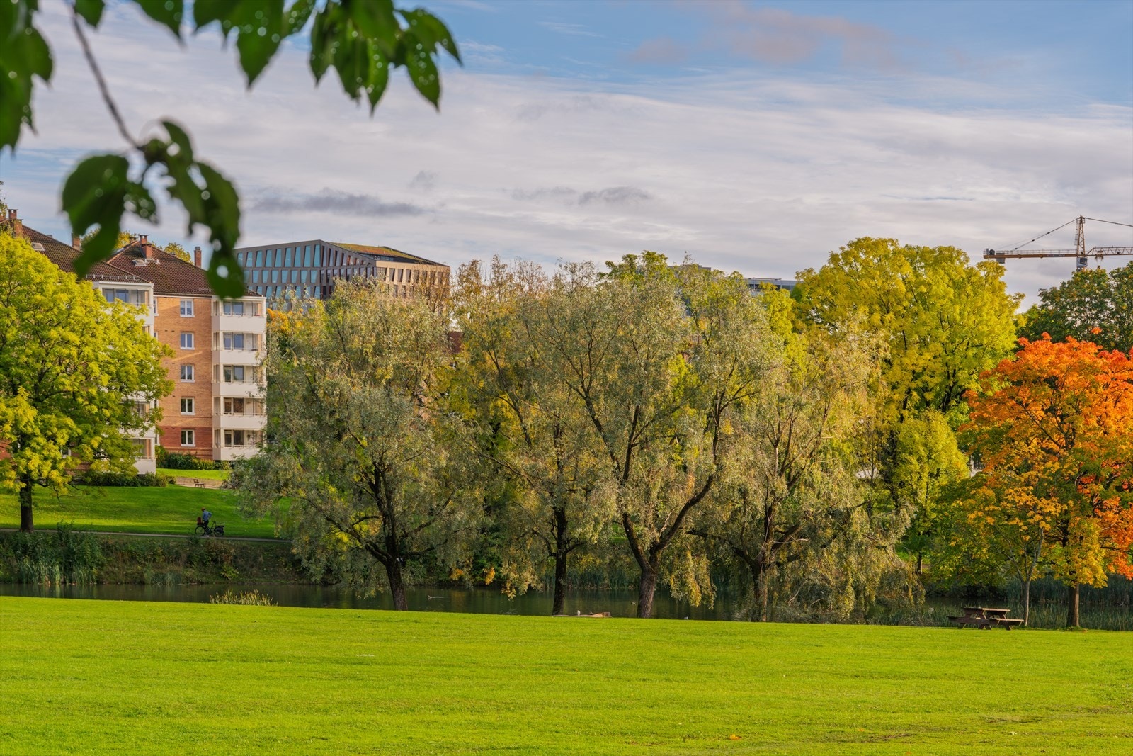 Parkområdene er godt vedlikeholdt og innbyr til aktivitet og avkobling. Galleribilde