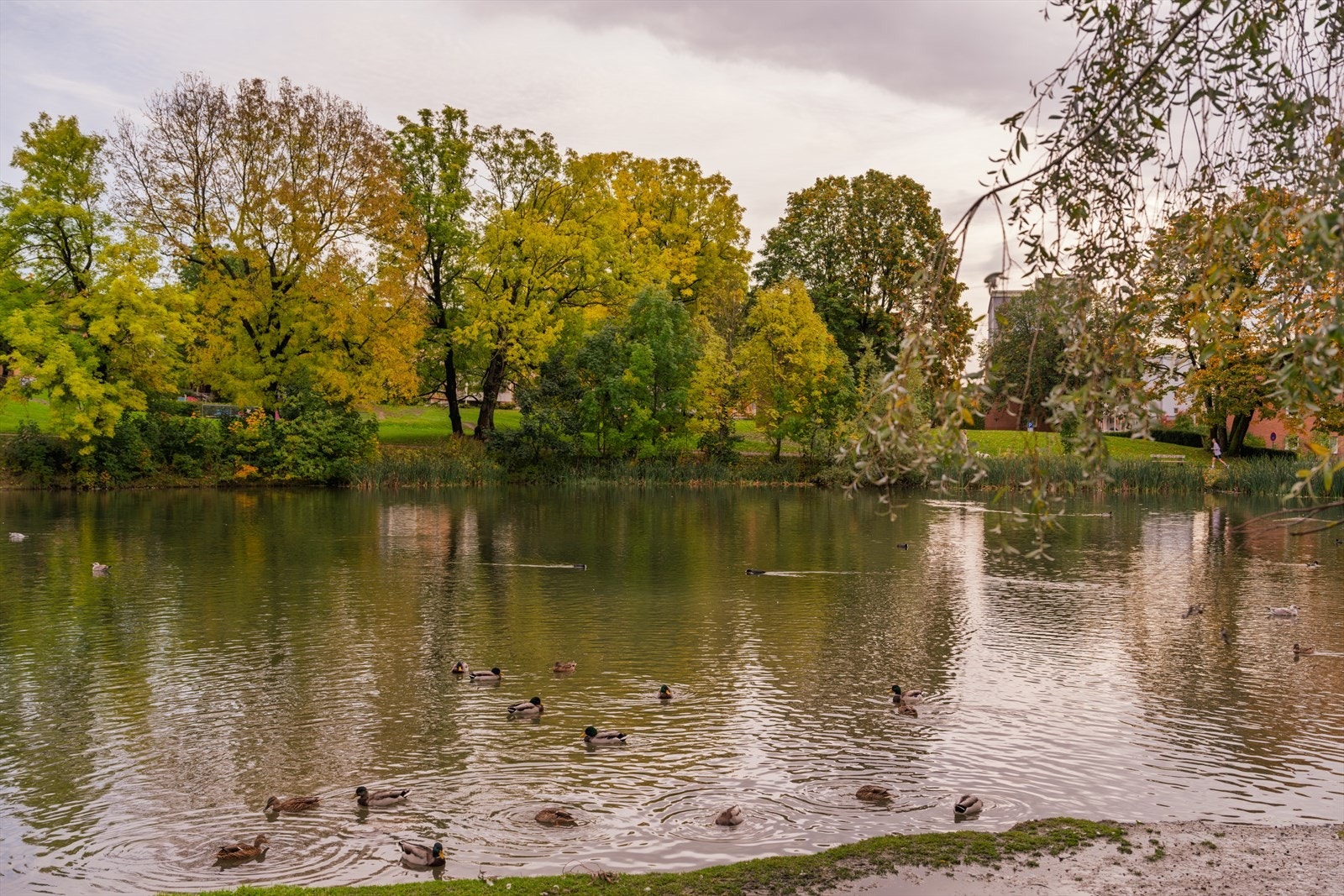 Et populært turområde med et yrende fugleliv. Galleribilde