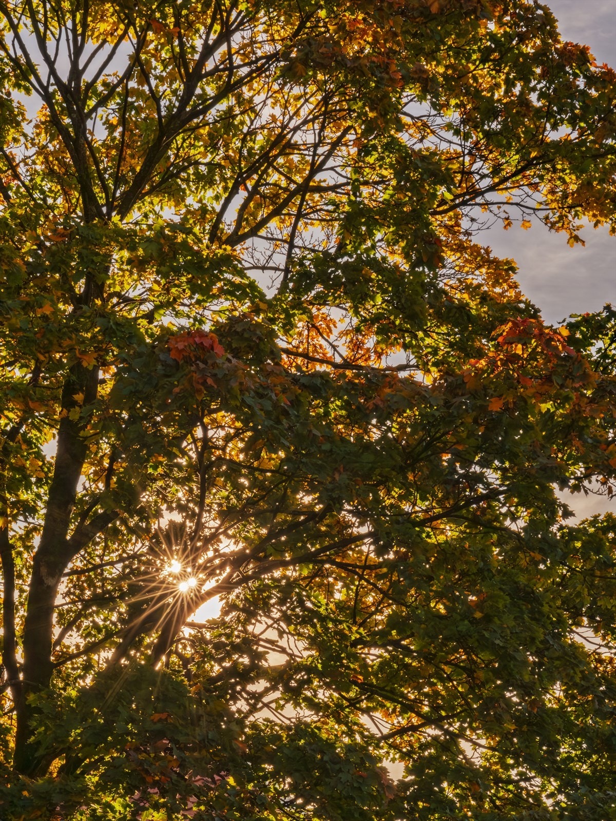 Et rolig og tilbaketrukket nabolag med gode solforhold. Galleribilde