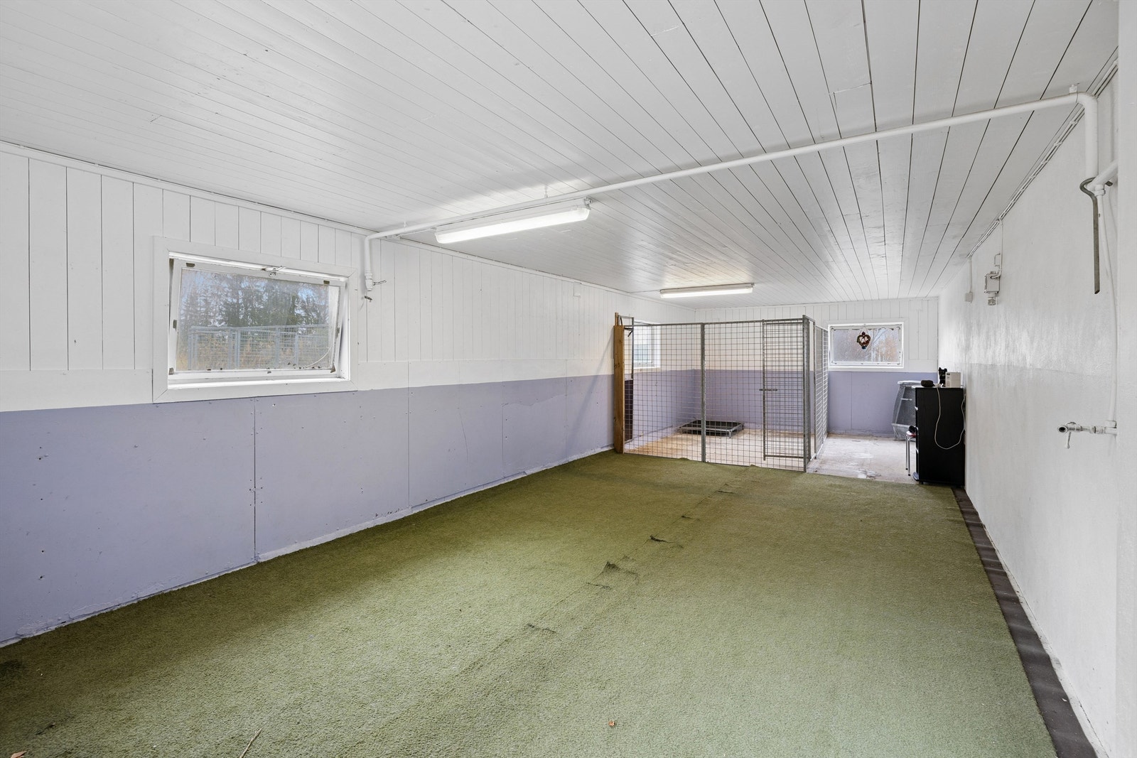 I fjøset er det tilrettelagt for innendørs hundetrening. Galleribilde