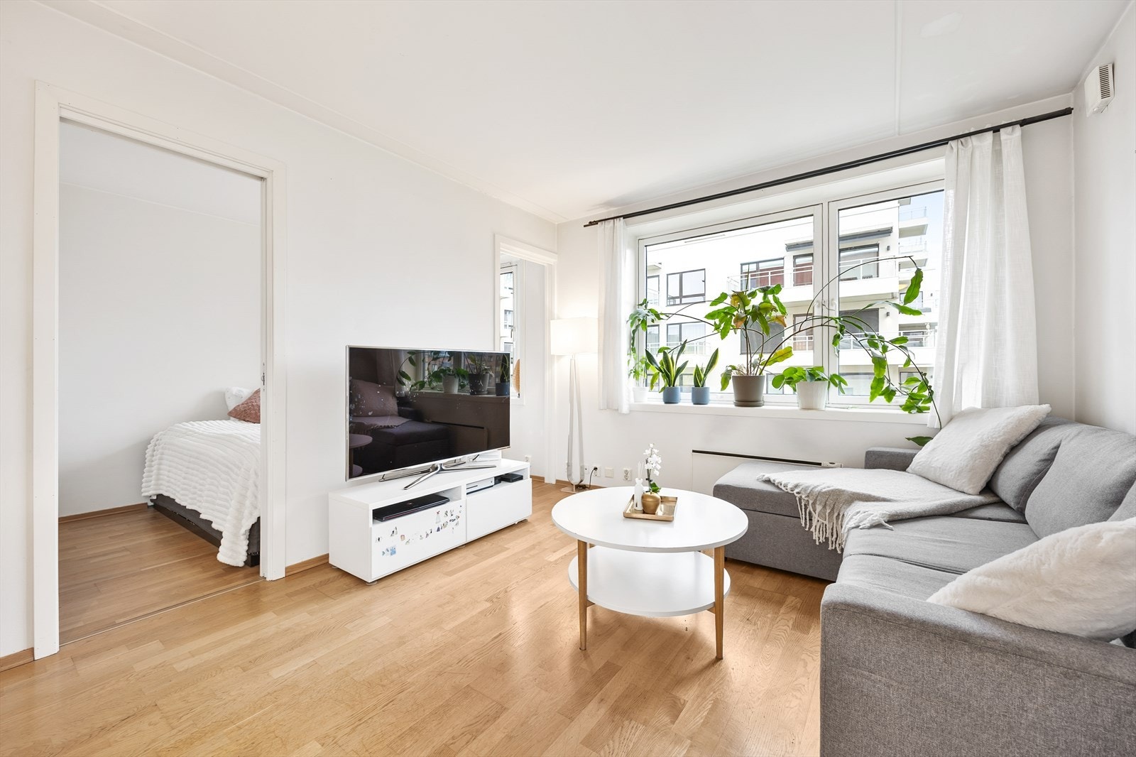 Velkommen til Doktor Wendts Gate 15! Galleribilde