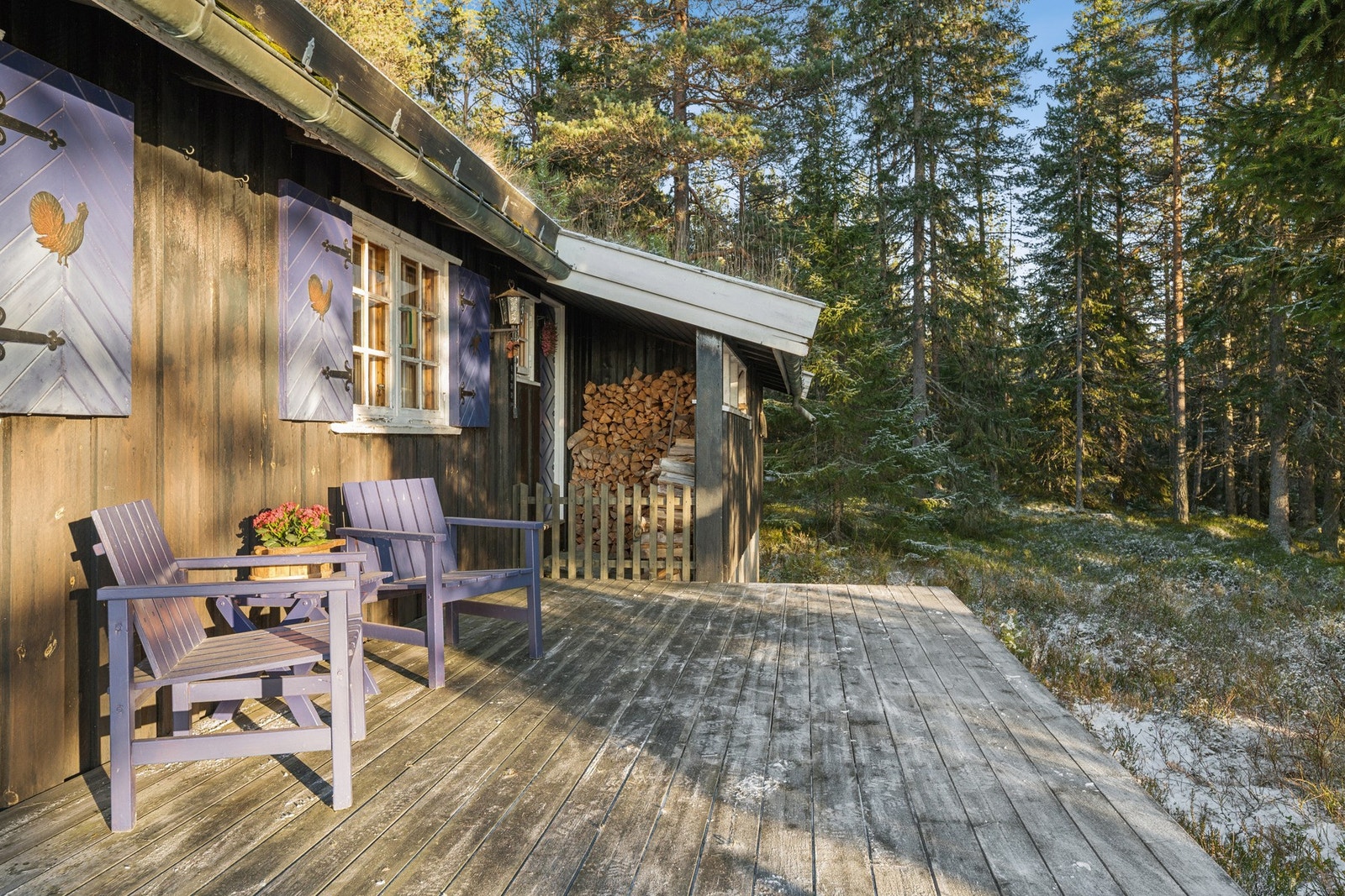 La oss ta turen inn i hytten. Galleribilde