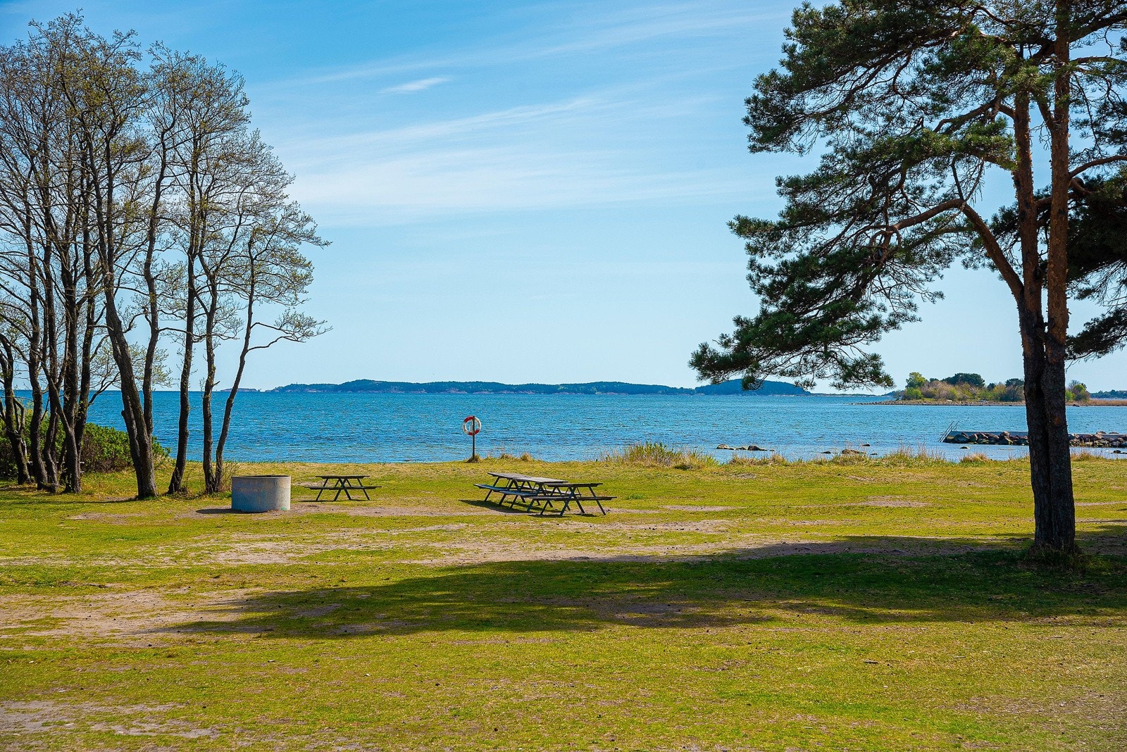 Skallevoll Galleribilde