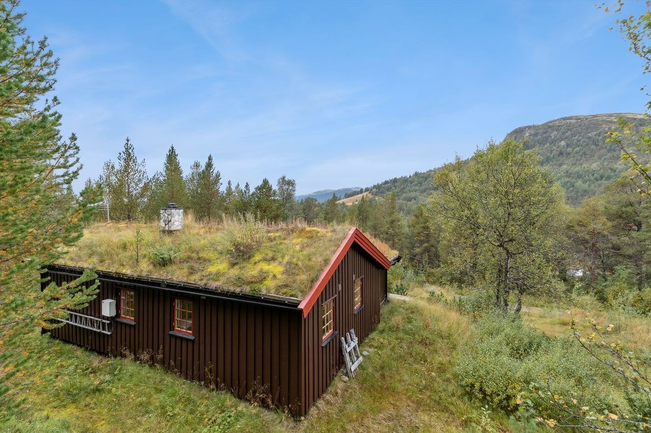 Taket er tekket med torv, som ble lagt om på den opprinnelige delen i 2009. Galleribilde