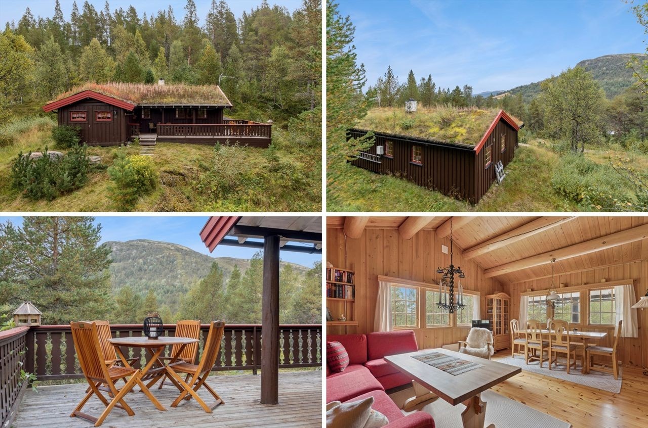 Velkommen til Haugvangen 61! Galleribilde