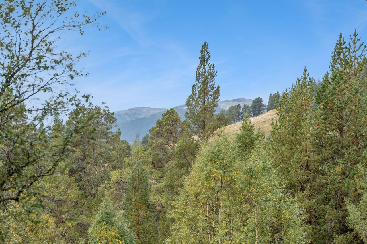 Området byr på gode muligheter for vintersport, med kort vei til både alpin og oppkjørte langrennsløyper Galleribilde