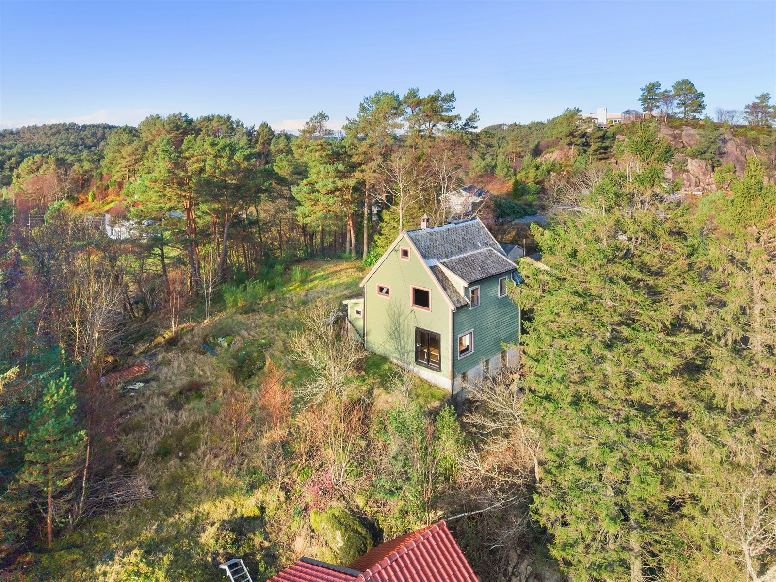 Stor naturtomt Galleribilde