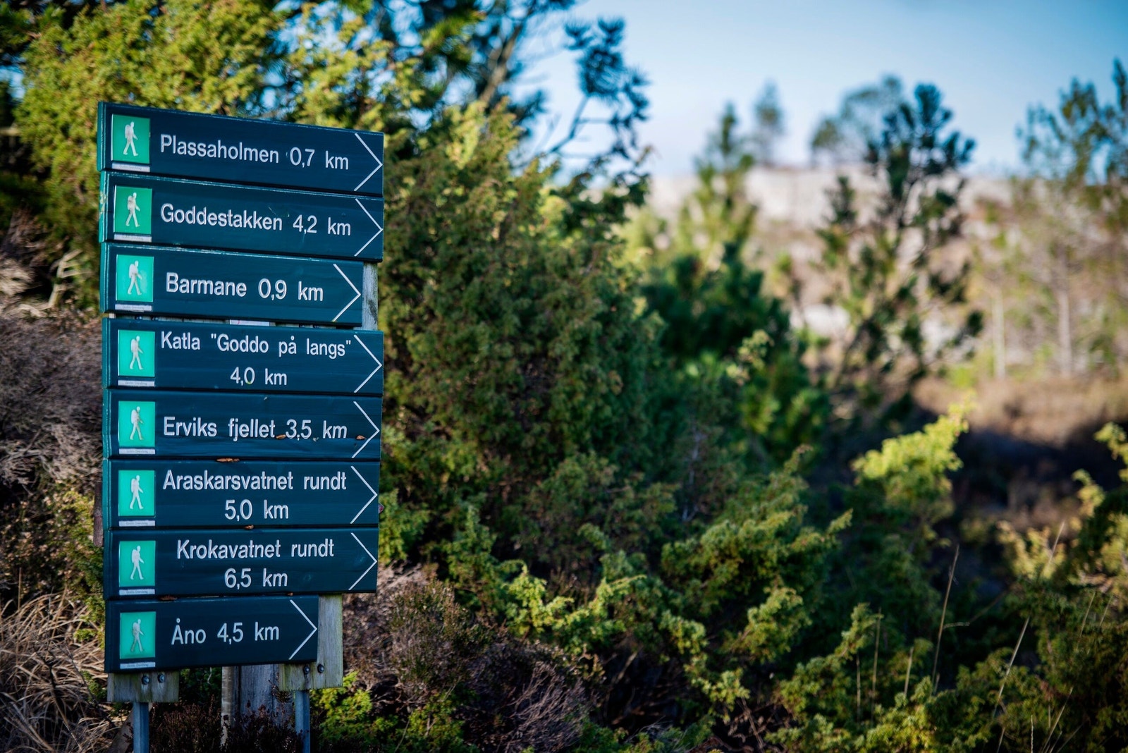Turløyper i nærområdet Galleribilde