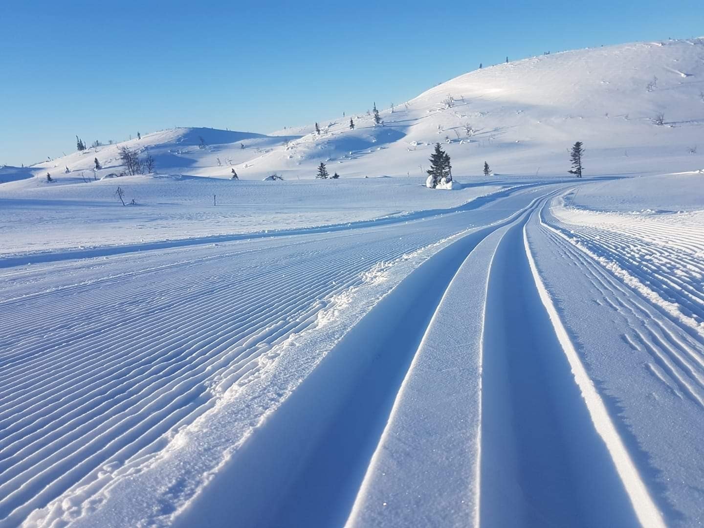 Selgers eget bilde Galleribilde