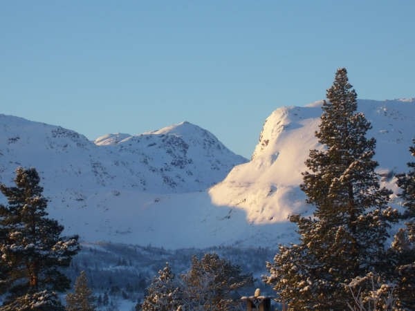 Selgers eget bilde. Galleribilde