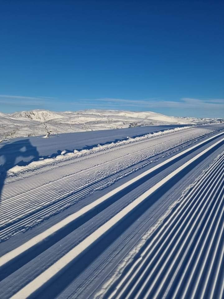Selgers eget bilde Galleribilde